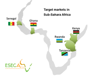 ESECA | Renewables go international: Networking event Europe-Africa